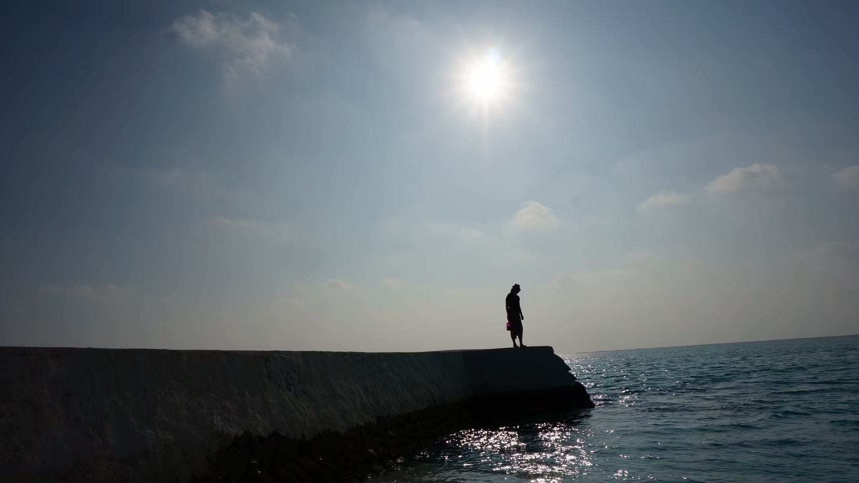 海と堤防に立つ人